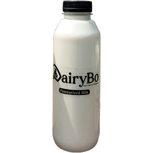 Botol 500 ml